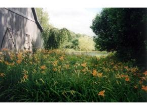 1188 Suncrest Road Rupert, VT 05775 - Photo 4 of 12 Gallery Image 4