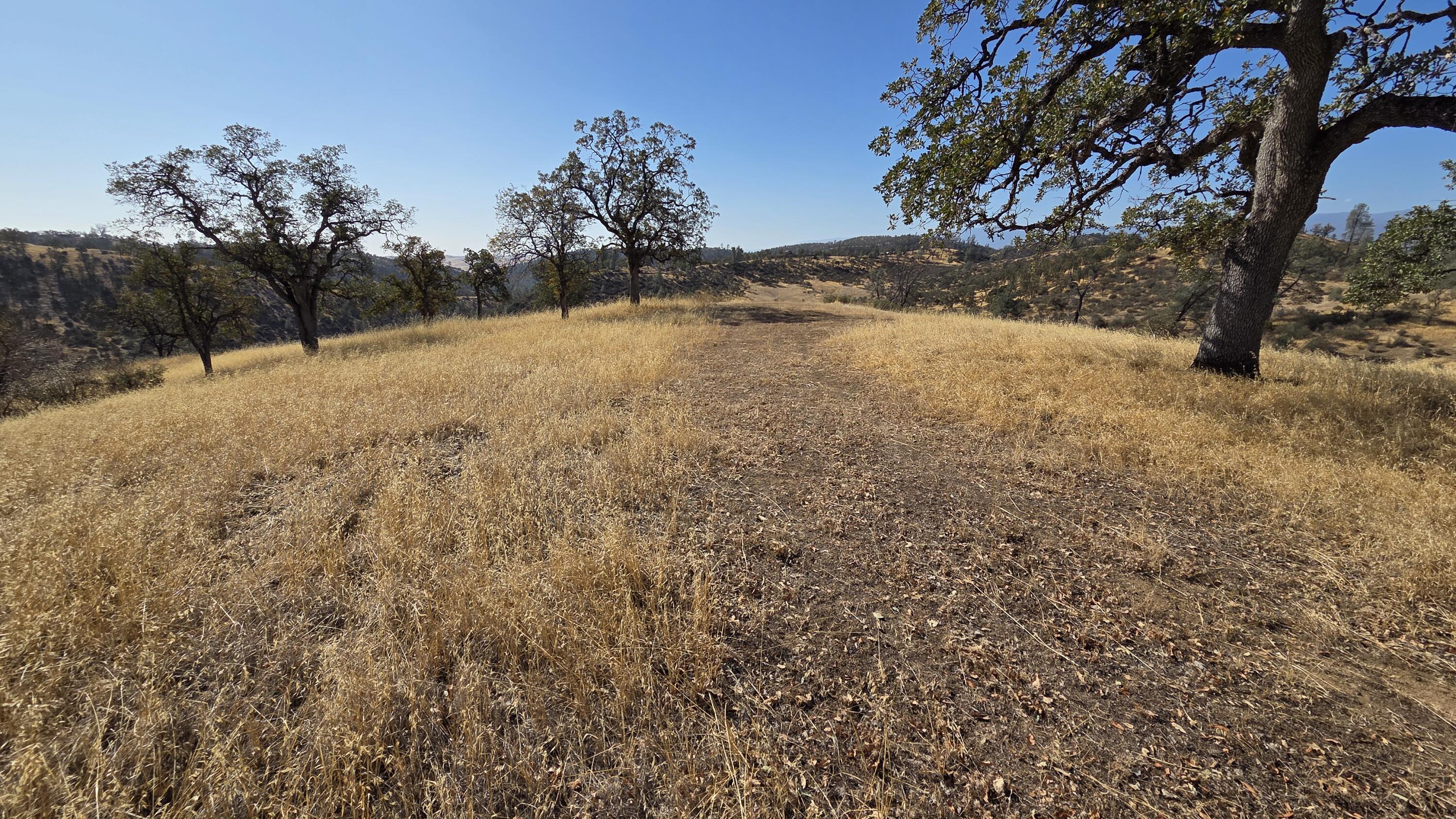 Lot 64 Gogo Road Igo, CA 96047 - Photo 16 of 36 20260916_101304