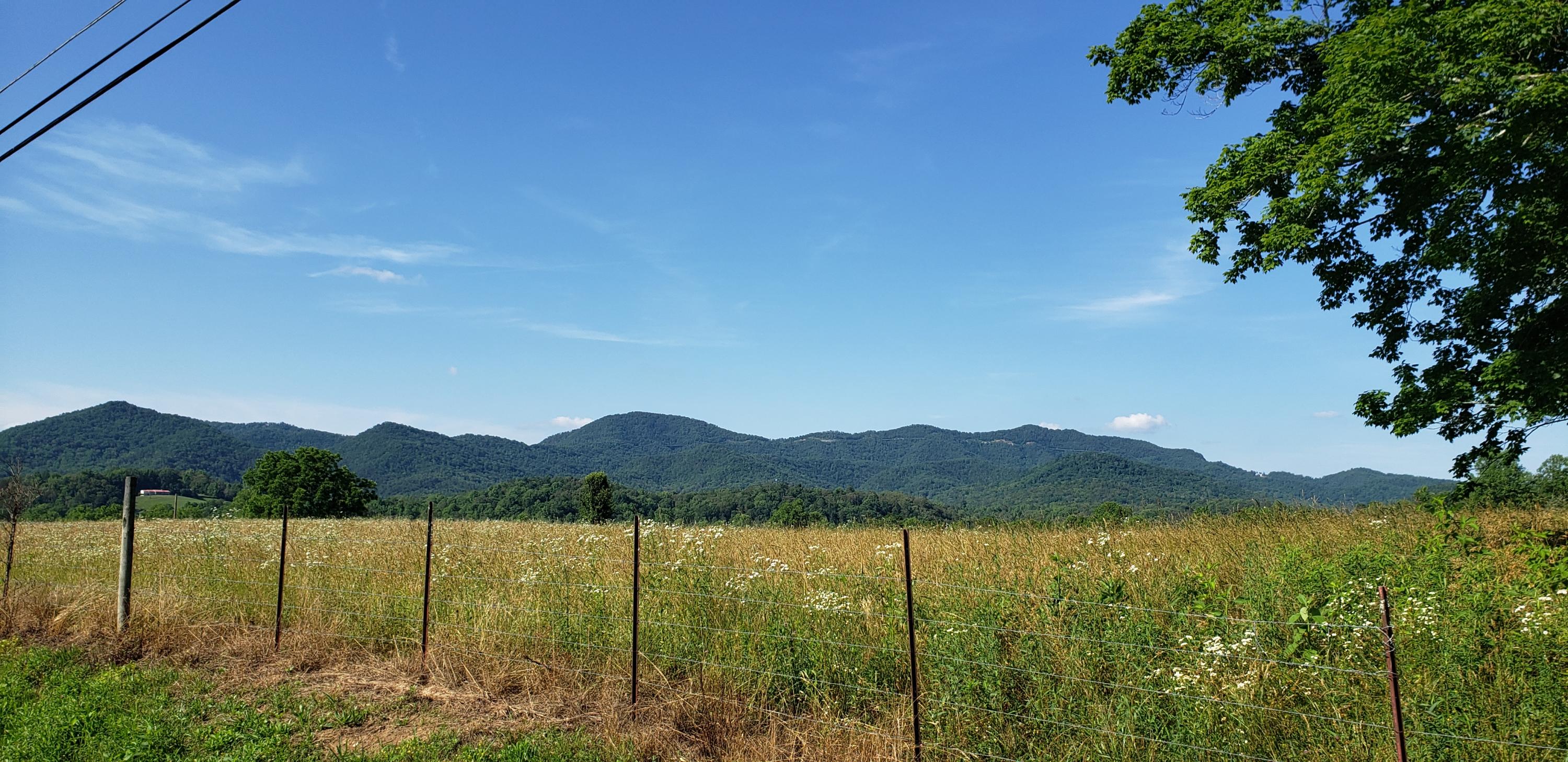 58 R Stonegate Way Townsend, TN 37882 - Photo 6 of 6 20210613_172429