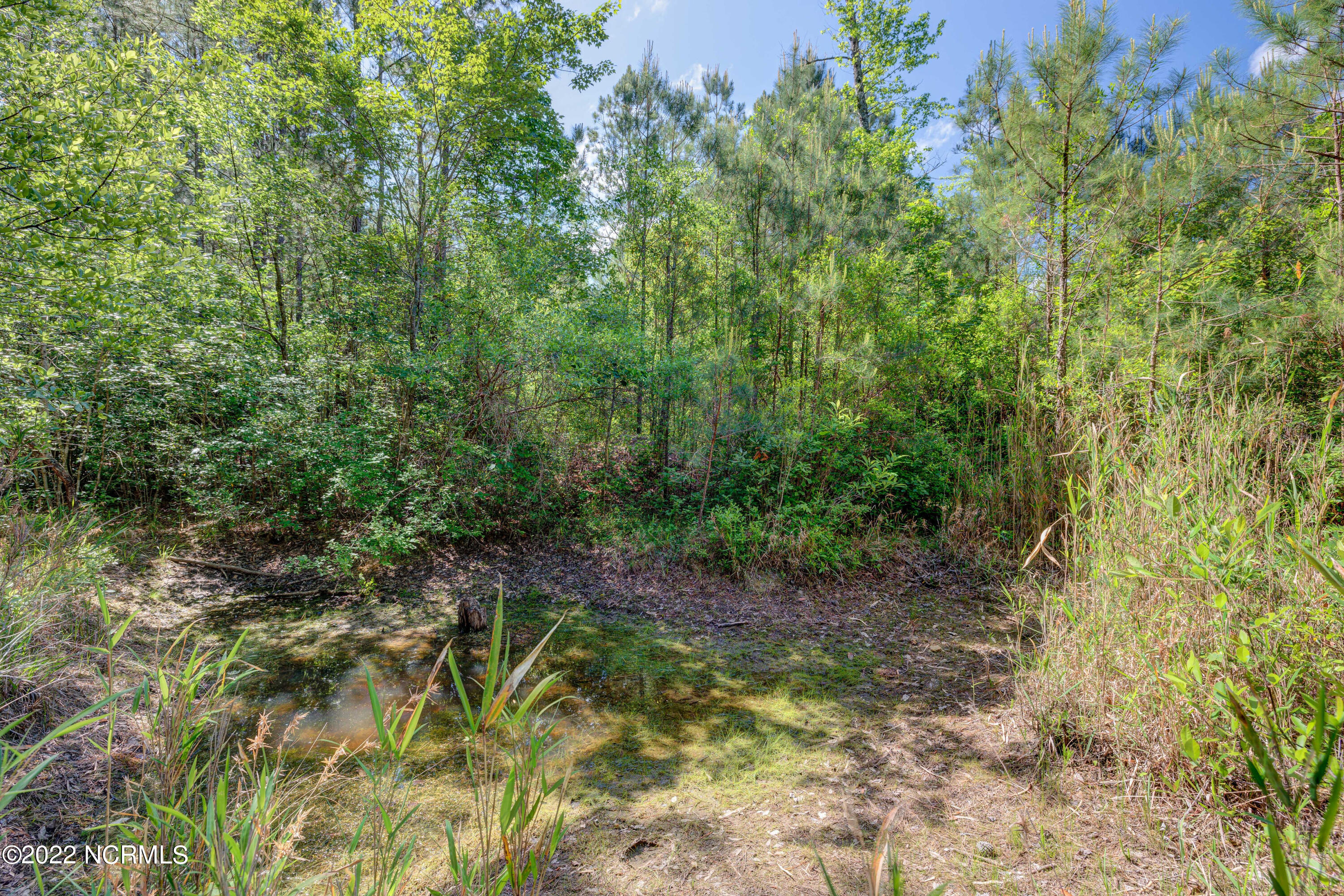 661 Gurganus Road Maple Hill, NC 28454 - Photo 74 of 78 661GurganusEdit-23