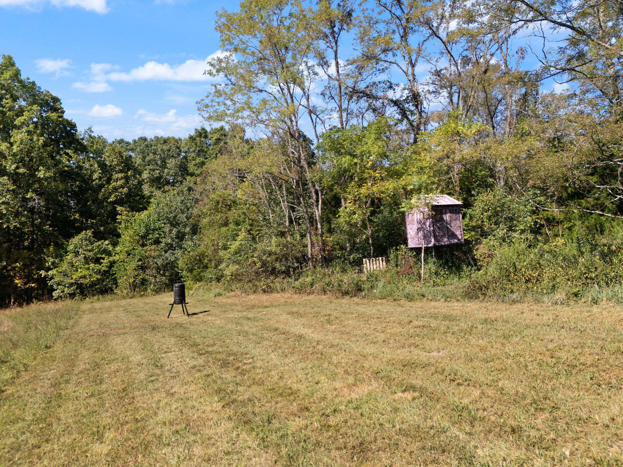 4450 Pleasant Grove Road Corinth, KY 41010 - Photo 21 of 38 21-web-or-mls-DJI_20250829110304_0123_D
