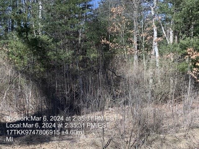 0 East Timreck Road, Unit PARCEL C Tawas City, MI 48763 - Photo 3 of 6