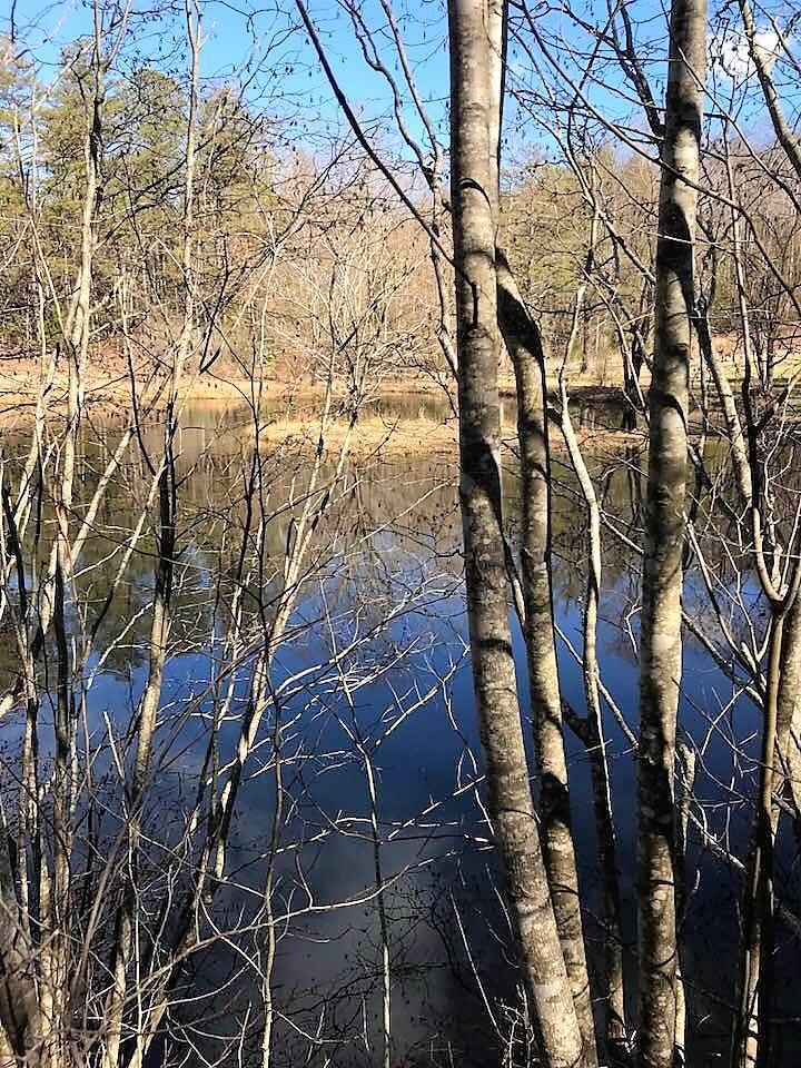 330 Smithfield Road Tellico Plains, TN 37385 - Photo 2 of 10 27540370_10156033903252521_3695050494297