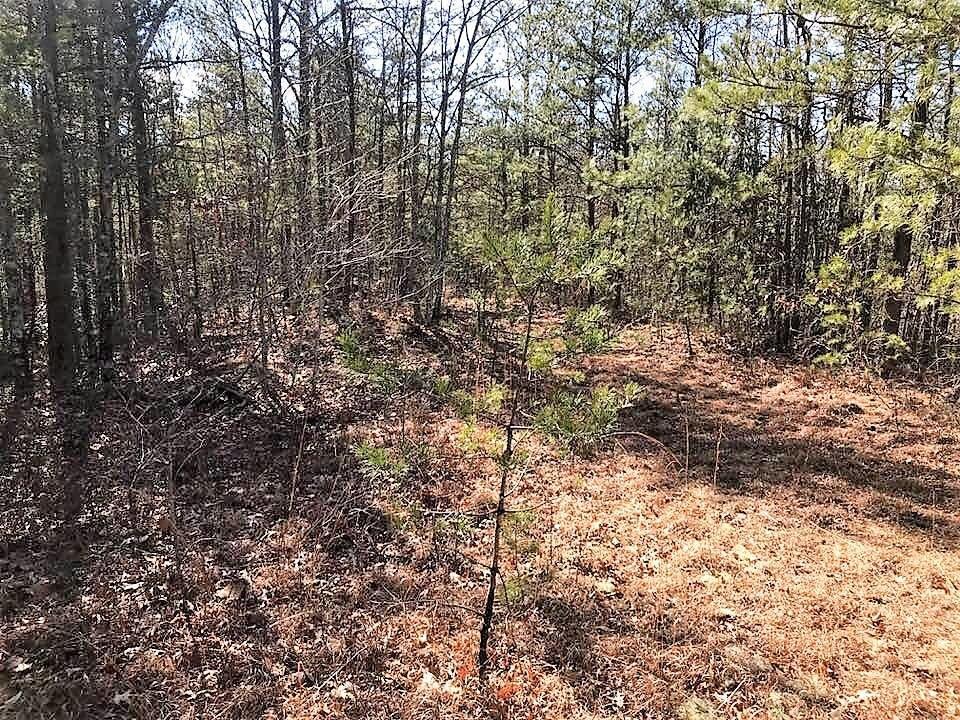 330 Smithfield Road Tellico Plains, TN 37385 - Photo 3 of 10 27540777_10156033903077521_9103808490665