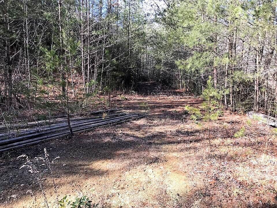 330 Smithfield Road Tellico Plains, TN 37385 - Photo 5 of 10 27655293_10156033903002521_8302422940770