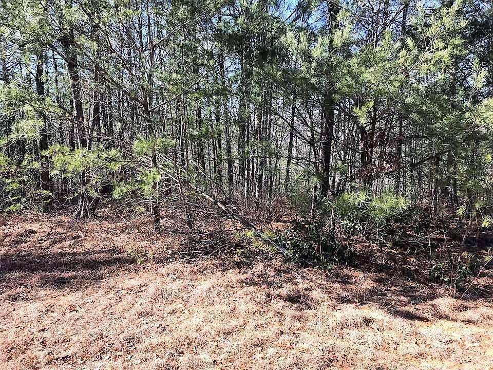 330 Smithfield Road Tellico Plains, TN 37385 - Photo 7 of 10 27750160_10156033903162521_5927095554760