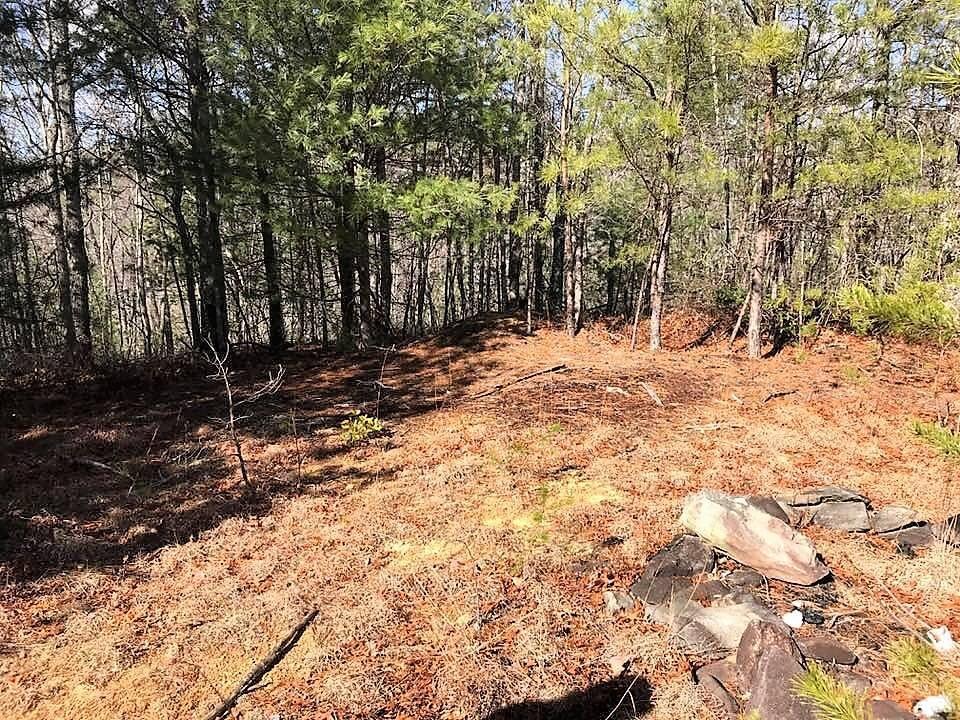 330 Smithfield Road Tellico Plains, TN 37385 - Photo 8 of 10 27751564_10156033903187521_3448333387534