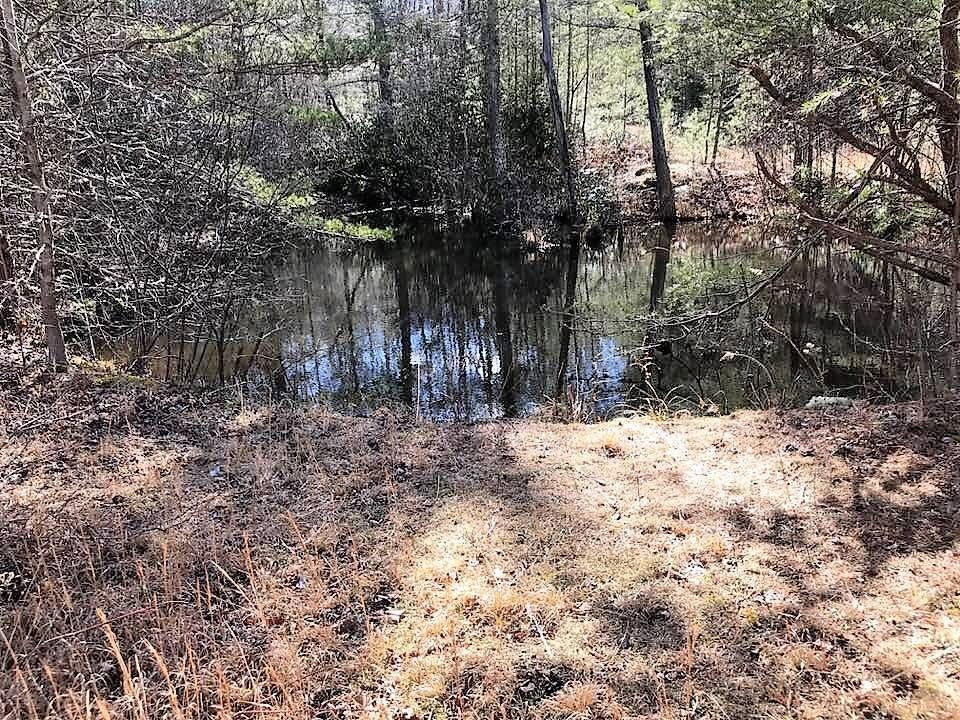 330 Smithfield Road Tellico Plains, TN 37385 - Photo 10 of 10 27858731_10156033902952521_6330864713957