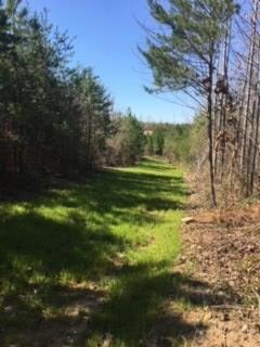 630 Mountain Hall Road, Unit 27D Crewe, VA 23930 - Photo 5 of 39 Gallery Image 5