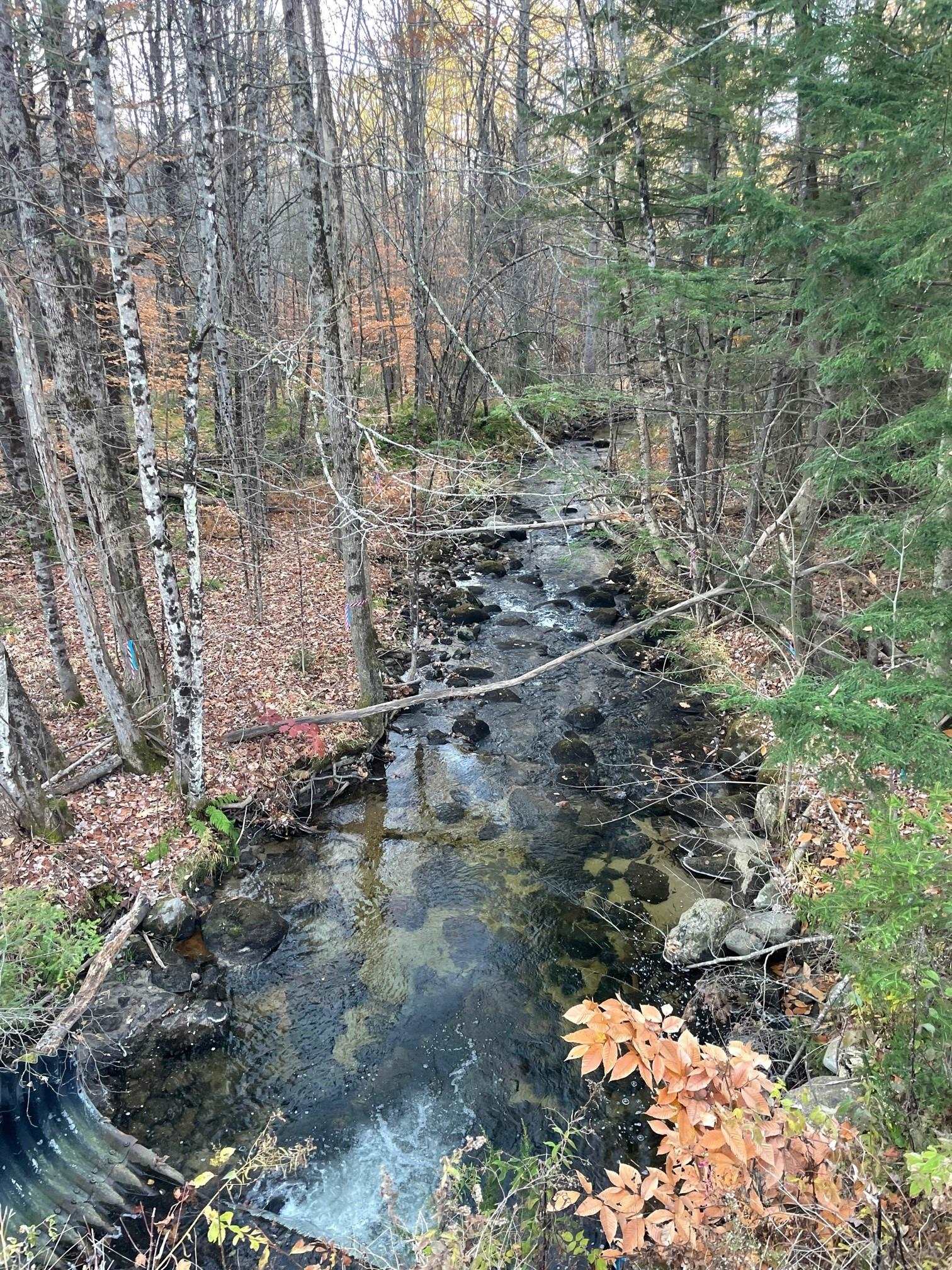 Lot 2 Durgin Hill Road Freedom, NH 03836 - Photo 2 of 4