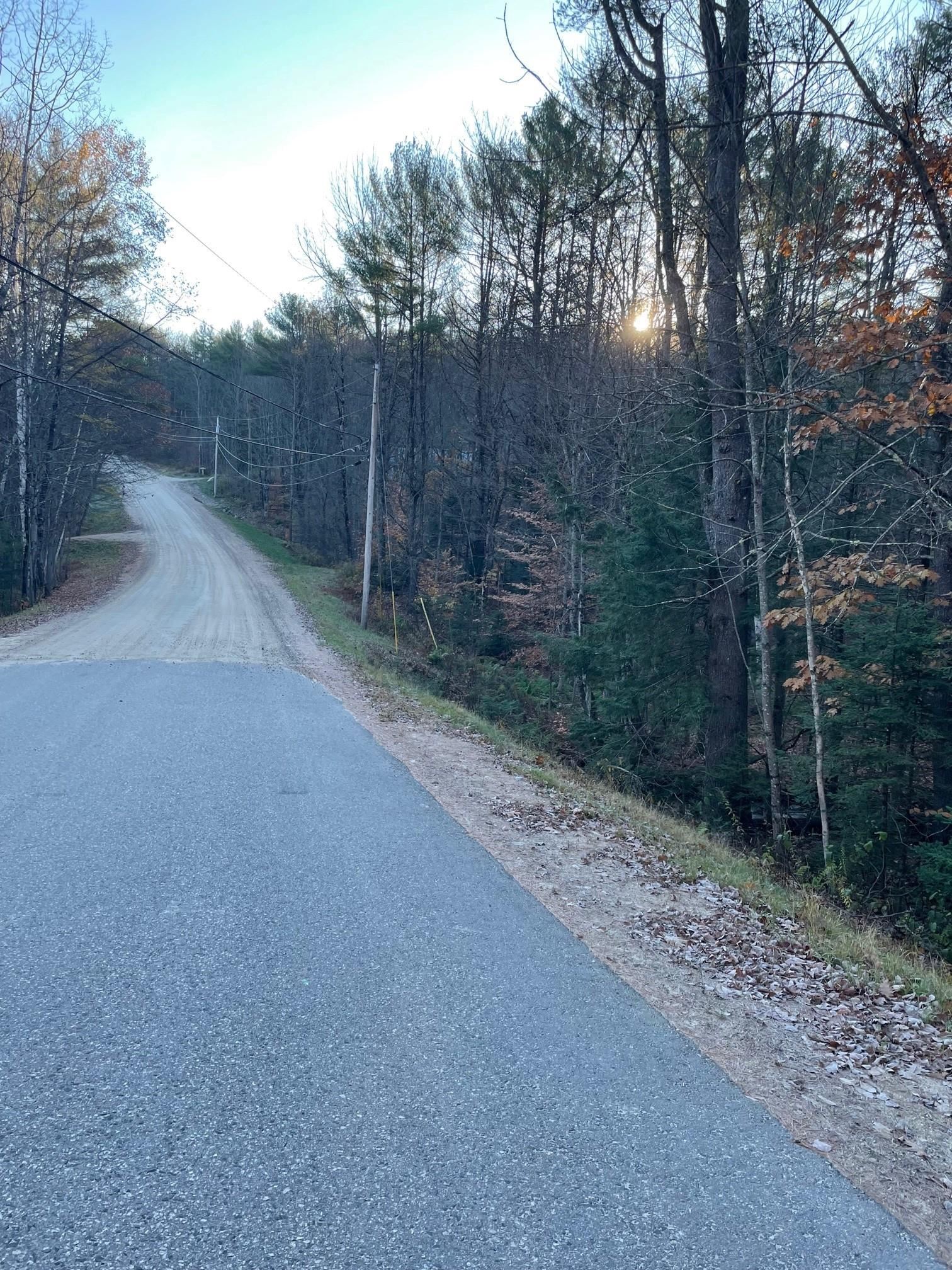 Lot 2 Durgin Hill Road Freedom, NH 03836 - Photo 4 of 4