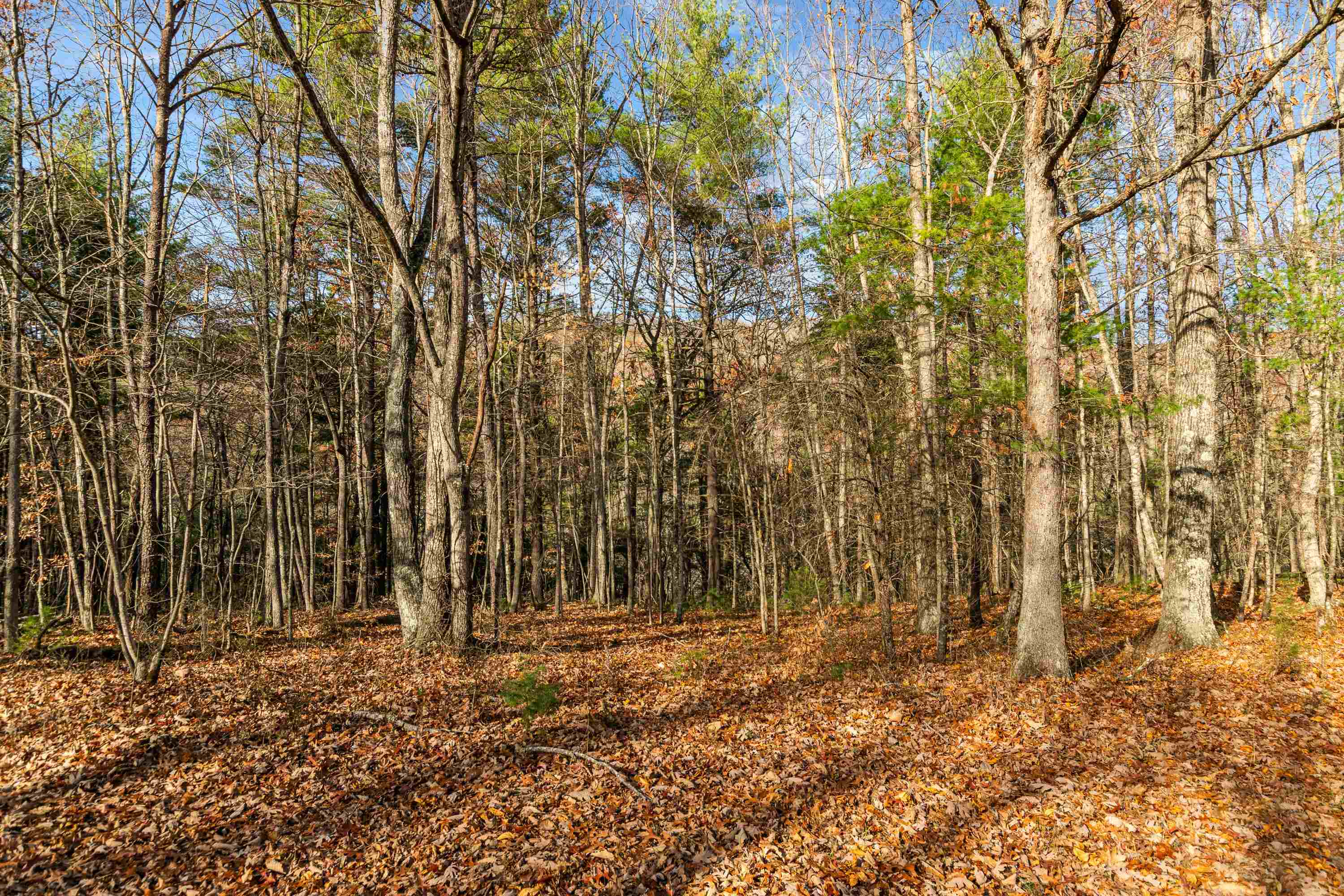 Tbd McCoy Road Blacksburg, VA 24060 - Photo 22 of 24 Gallery Image 22