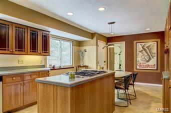 354 Ridgemeadow Drive Chesterfield, MO 63017 - Photo 10 of 28 Gallery Image 10