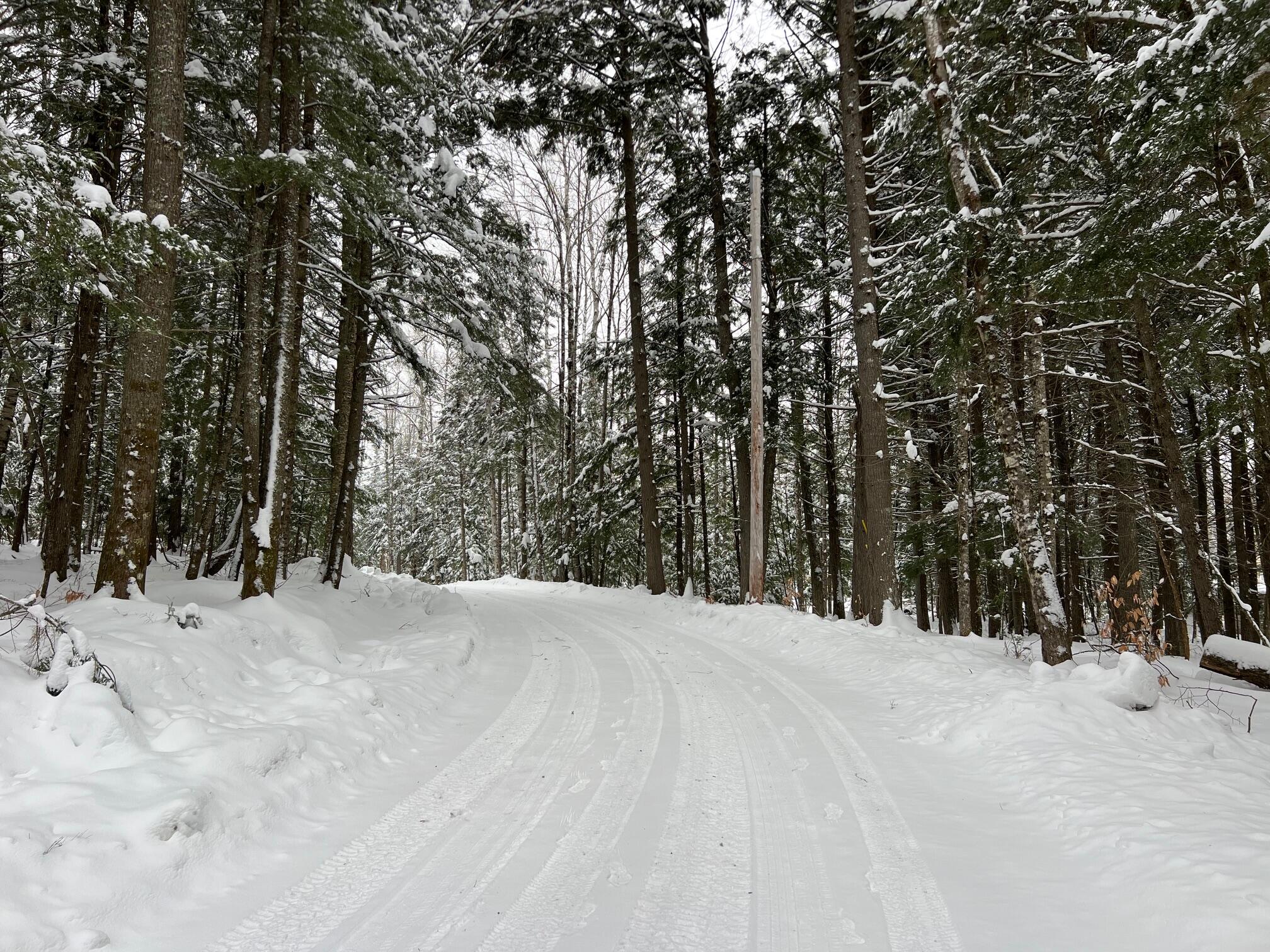 Lot 17 Shues Lane Ripley, ME 04930 - Photo 6 of 13 6