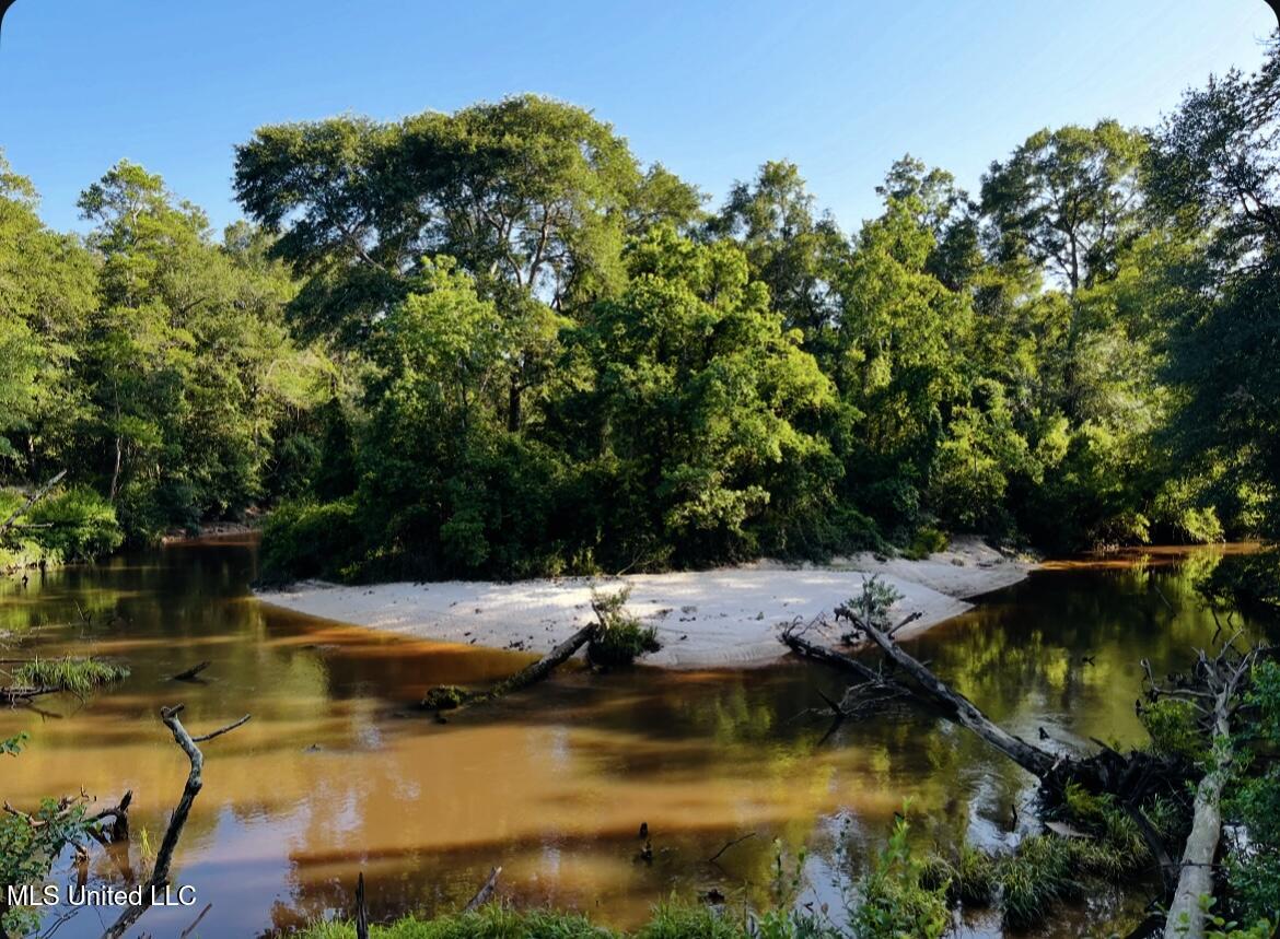 Dream Creek Property