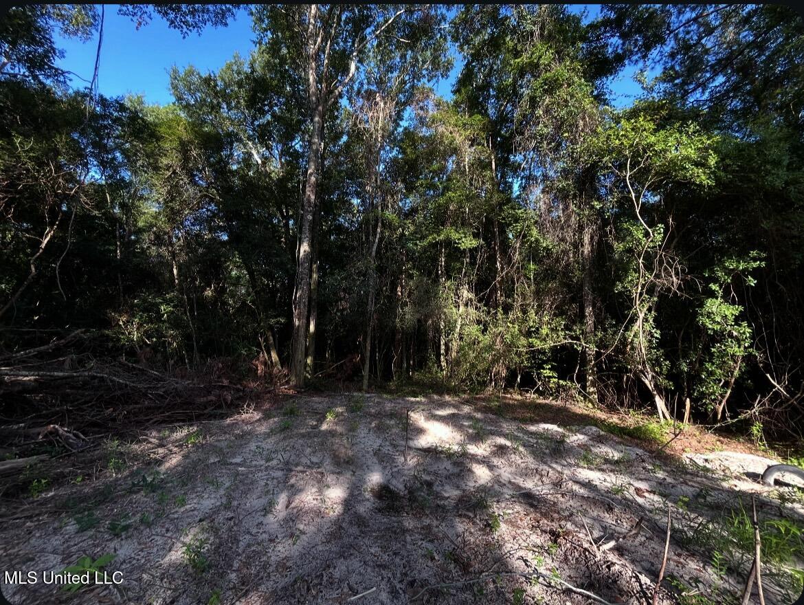 West Union Road Carriere, MS 39426 - Photo 4 of 12 IMG_4267