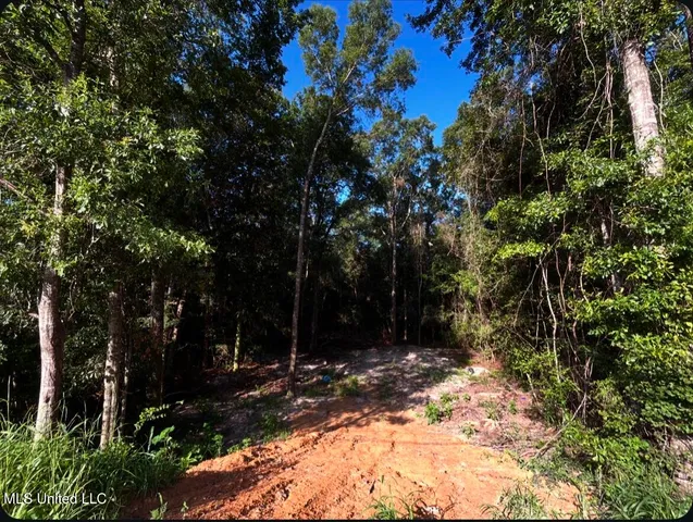 $195,000 | West Union Road, Carriere, MS 39426