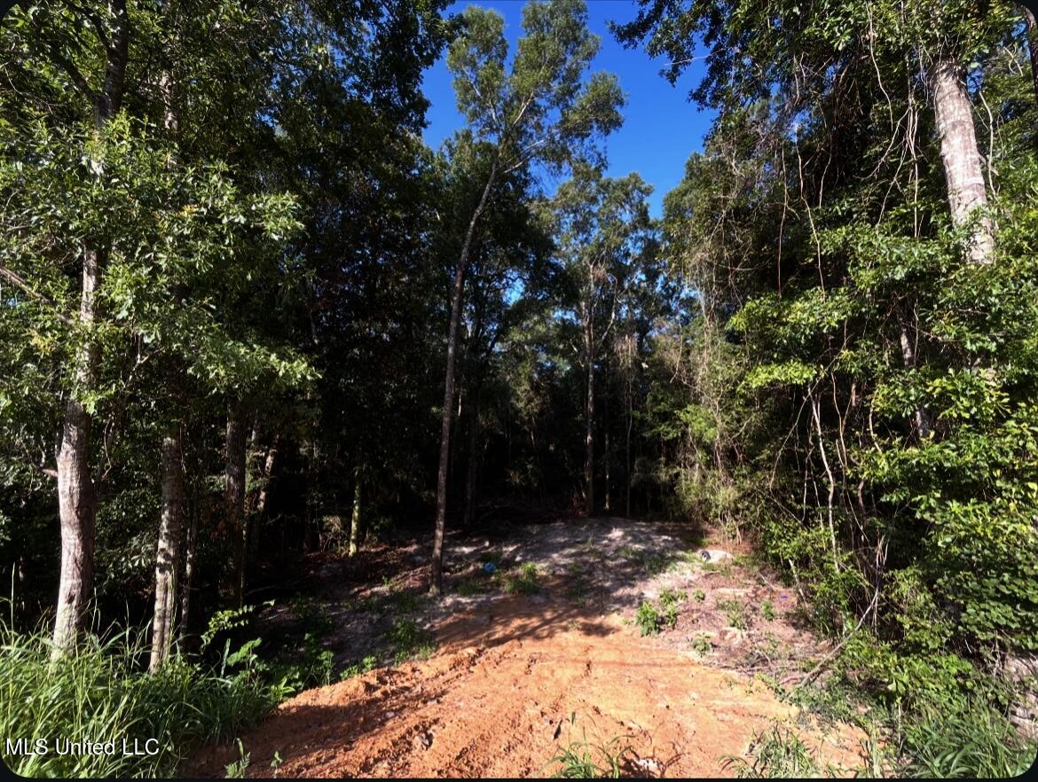 West Union Road Carriere, MS 39426 - Photo 5 of 12 IMG_4266