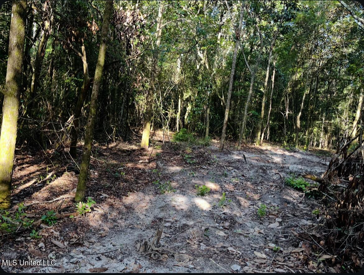 West Union Road Carriere, MS 39426 - Photo 6 of 12 IMG_4262