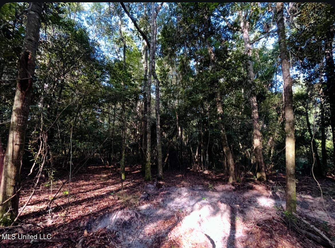 West Union Road Carriere, MS 39426 - Photo 7 of 12 IMG_4261