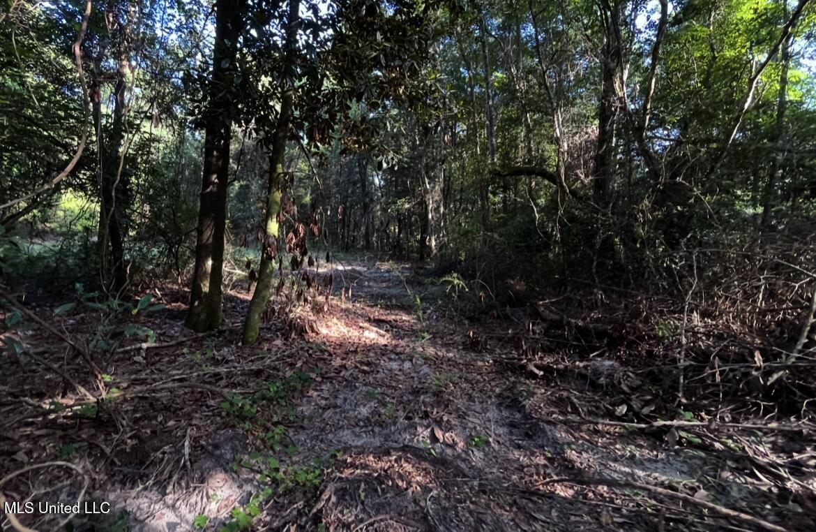 West Union Road Carriere, MS 39426 - Photo 8 of 12 IMG_4260