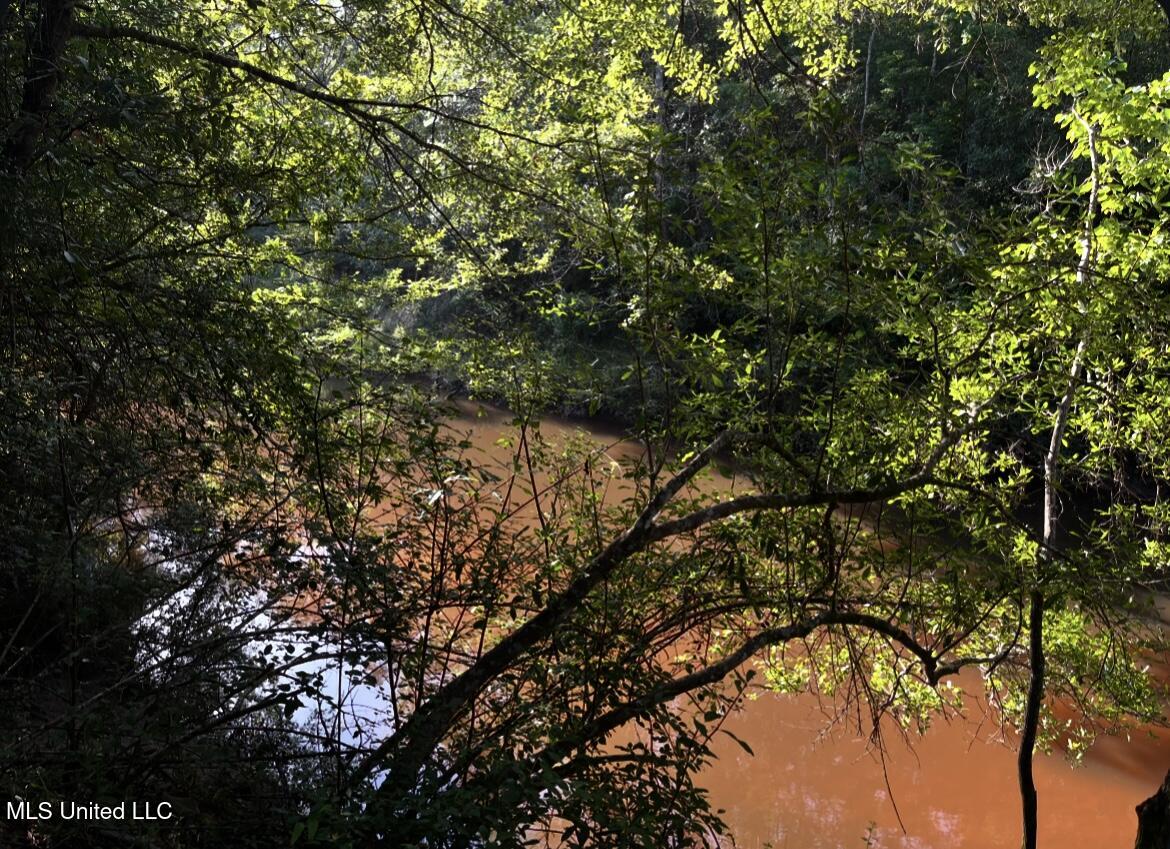 West Union Road Carriere, MS 39426 - Photo 10 of 12 IMG_4255