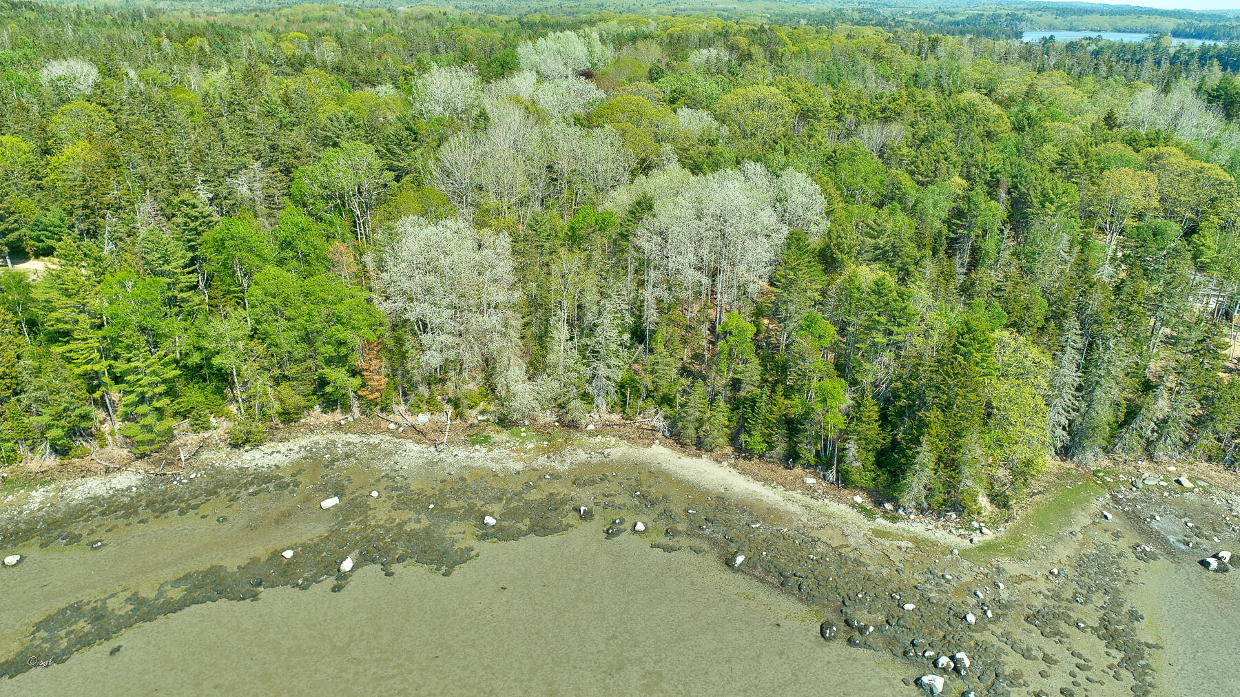 Tbd Frank's Flat Sedgwick, ME 04676 - Photo 13 of 54 Franks Flat Land Drone 4