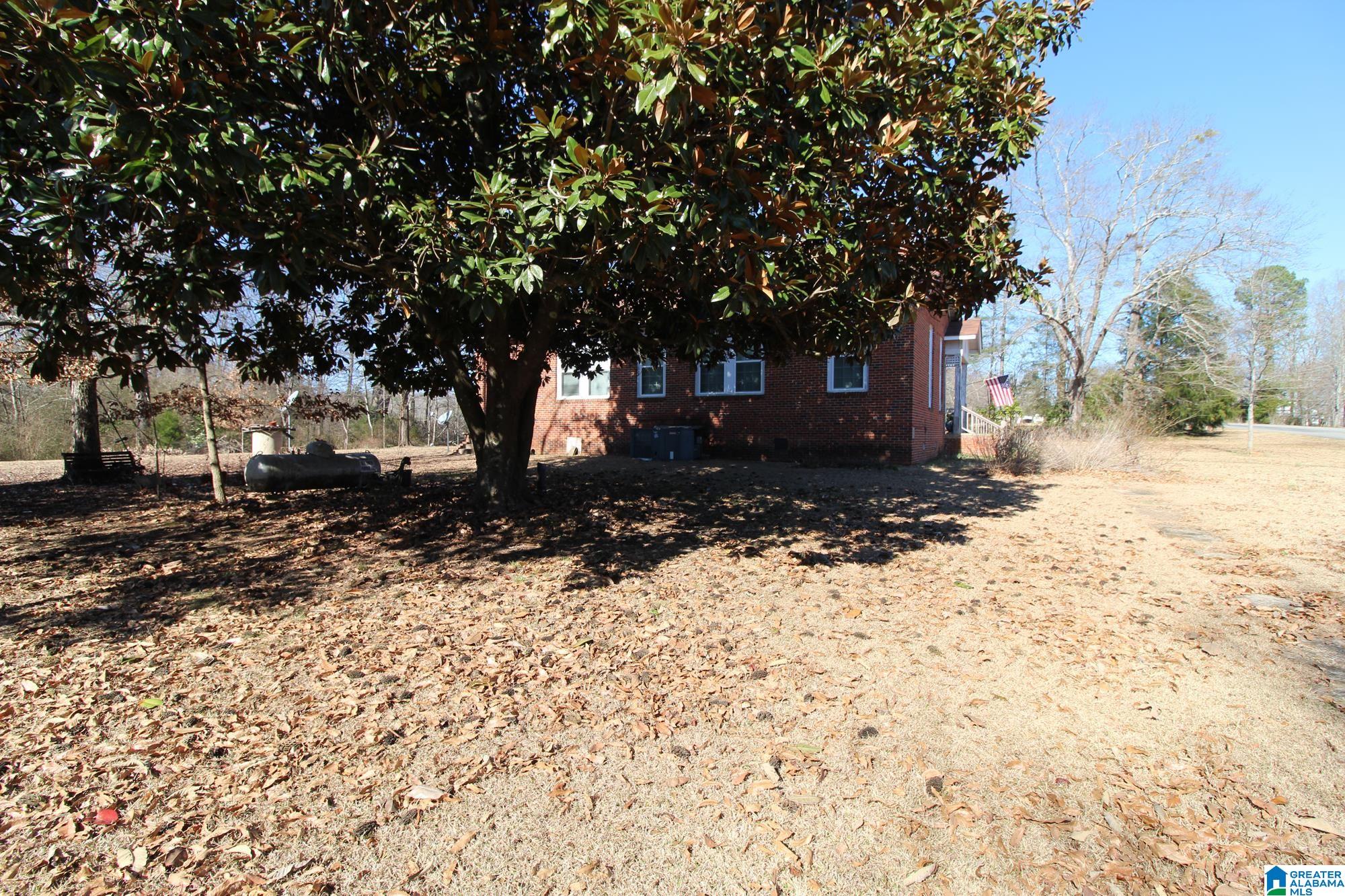 6330 Liberty Road Ethelsville, AL 35461 - Photo 9 of 38 Gallery Image 9