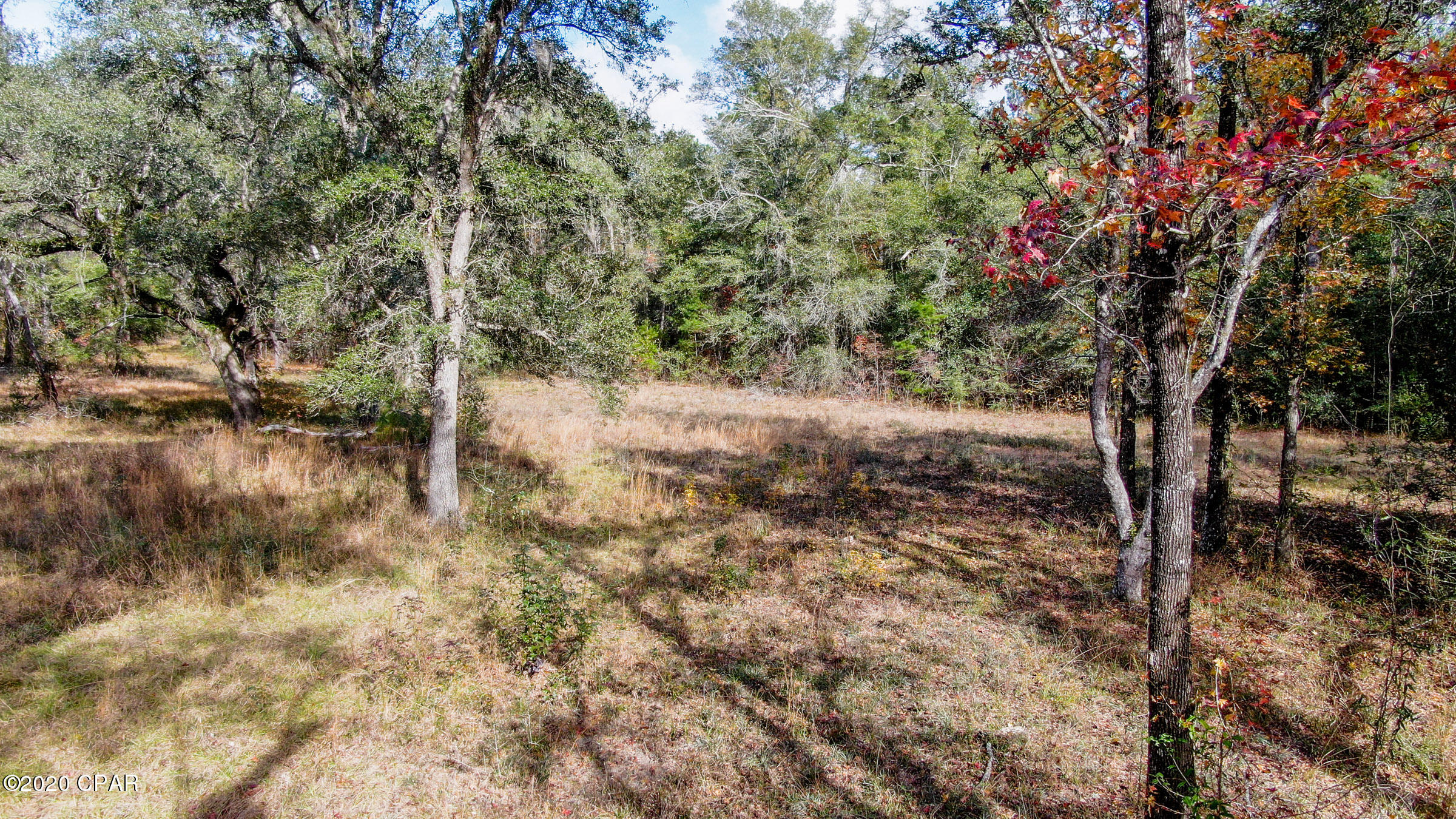 5136 Dupree Road Vernon, FL 32462 - Photo 15 of 17