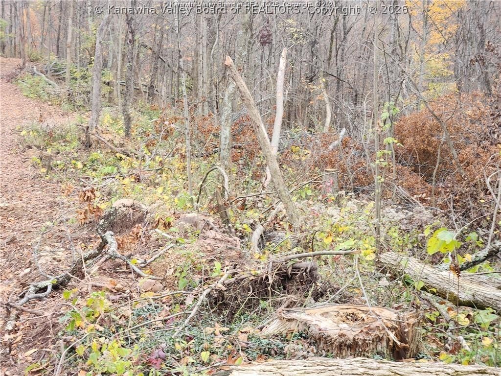 0 Beechy Road Procious, WV 25164 - Photo 9 of 29 Gallery Image 9