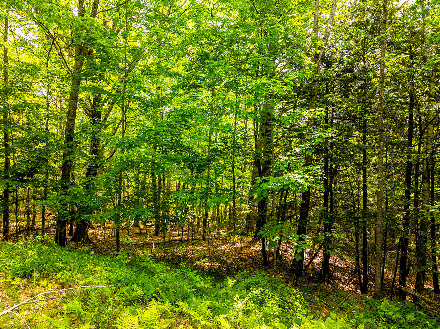 0 Narrows Road Lincolnville, ME 04849 - Photo 2 of 19 DJI_0709