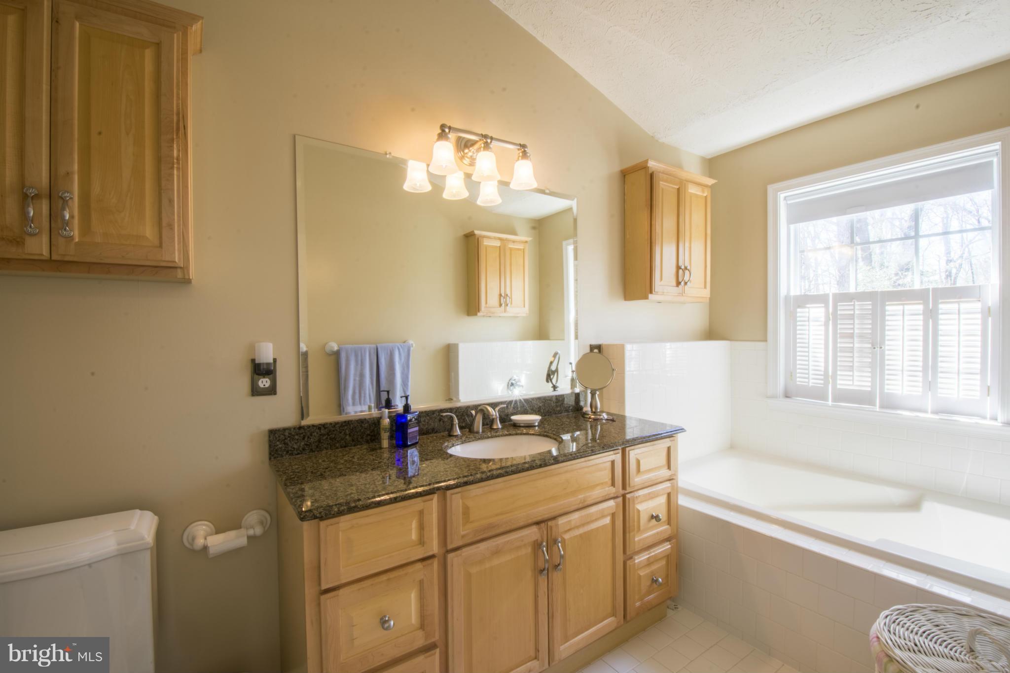 1270 Breckenridge Circle Riva, MD 21140 - Photo 20 of 30 Light Filled Owners Bathroom