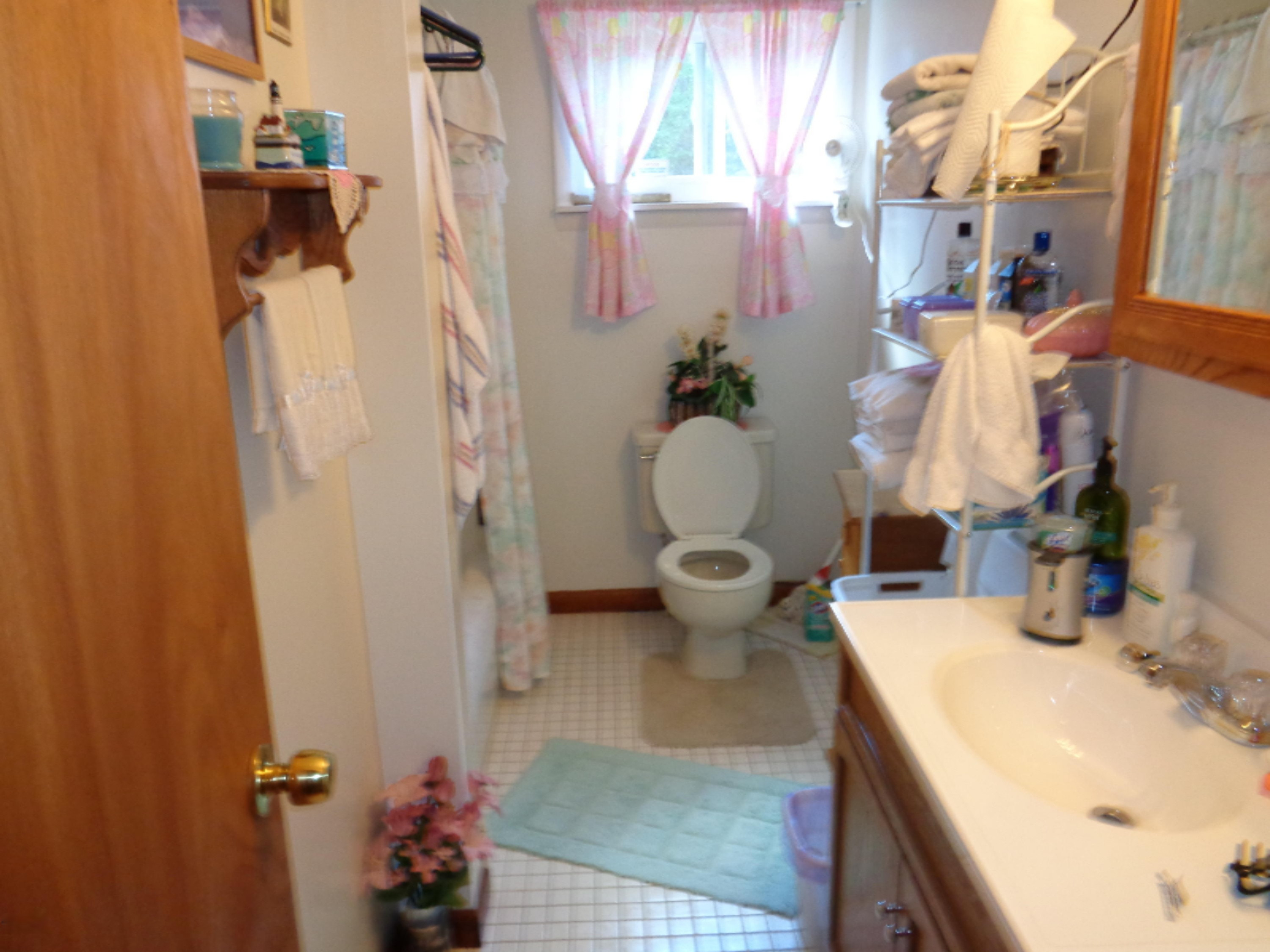 7347 South Merrillville Road Baldwin, MI 49304 - Photo 12 of 22 DSC00126