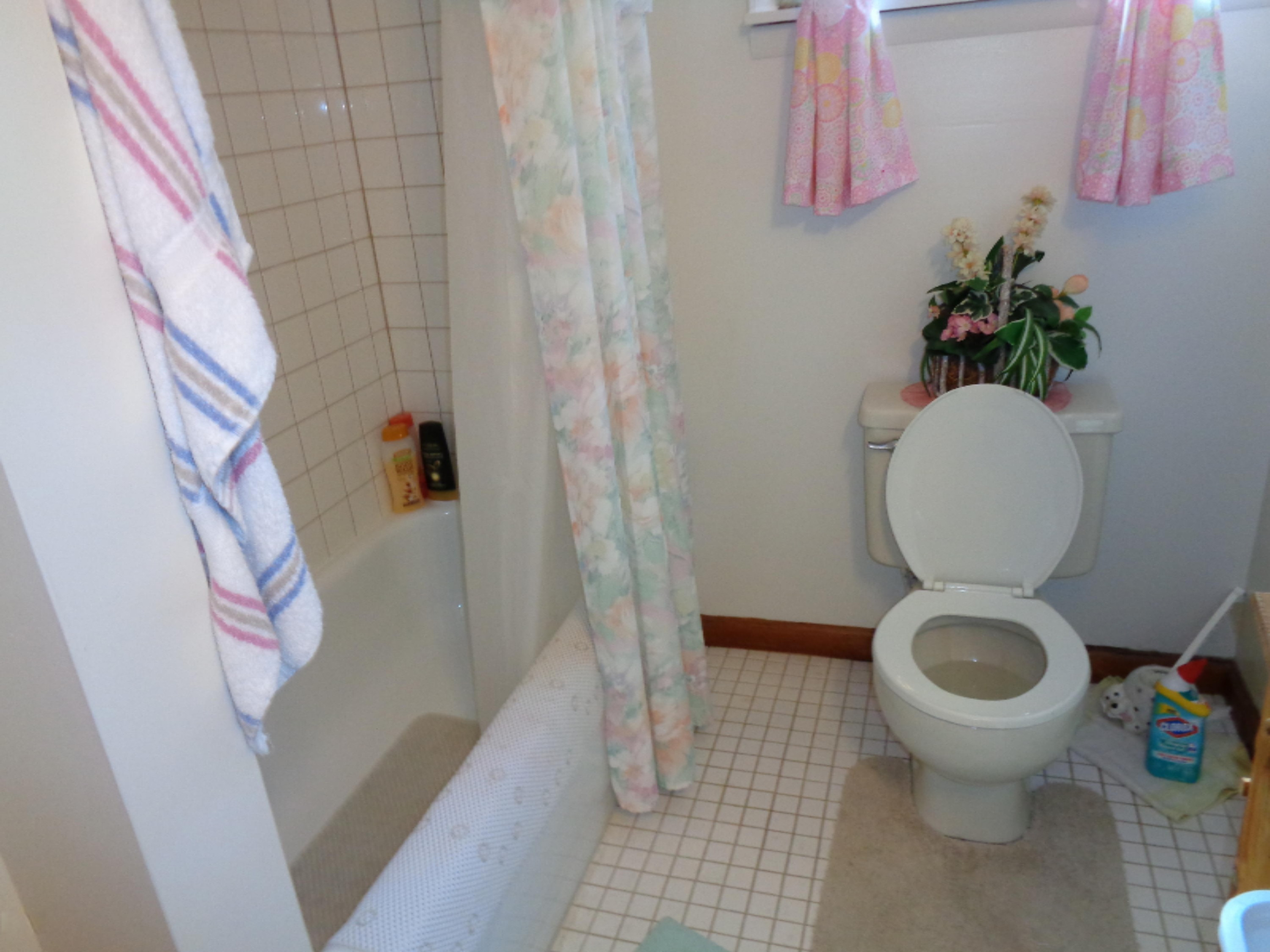 7347 South Merrillville Road Baldwin, MI 49304 - Photo 13 of 22 DSC00127