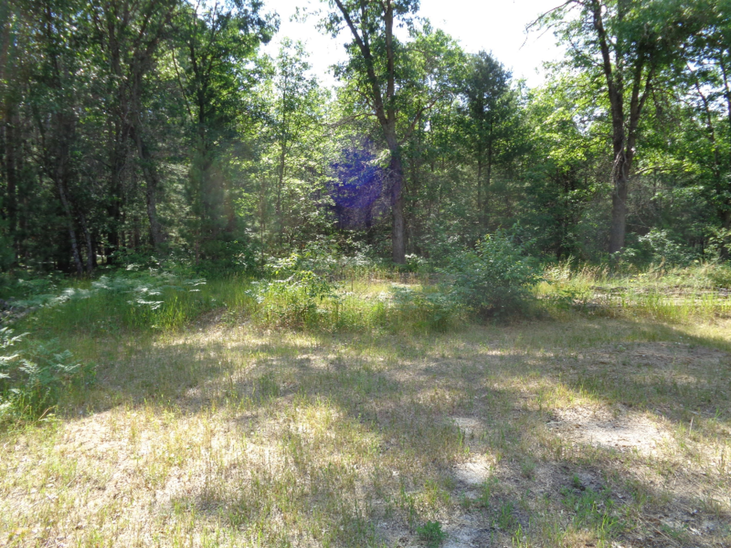 7347 South Merrillville Road Baldwin, MI 49304 - Photo 6 of 22 DSC00139