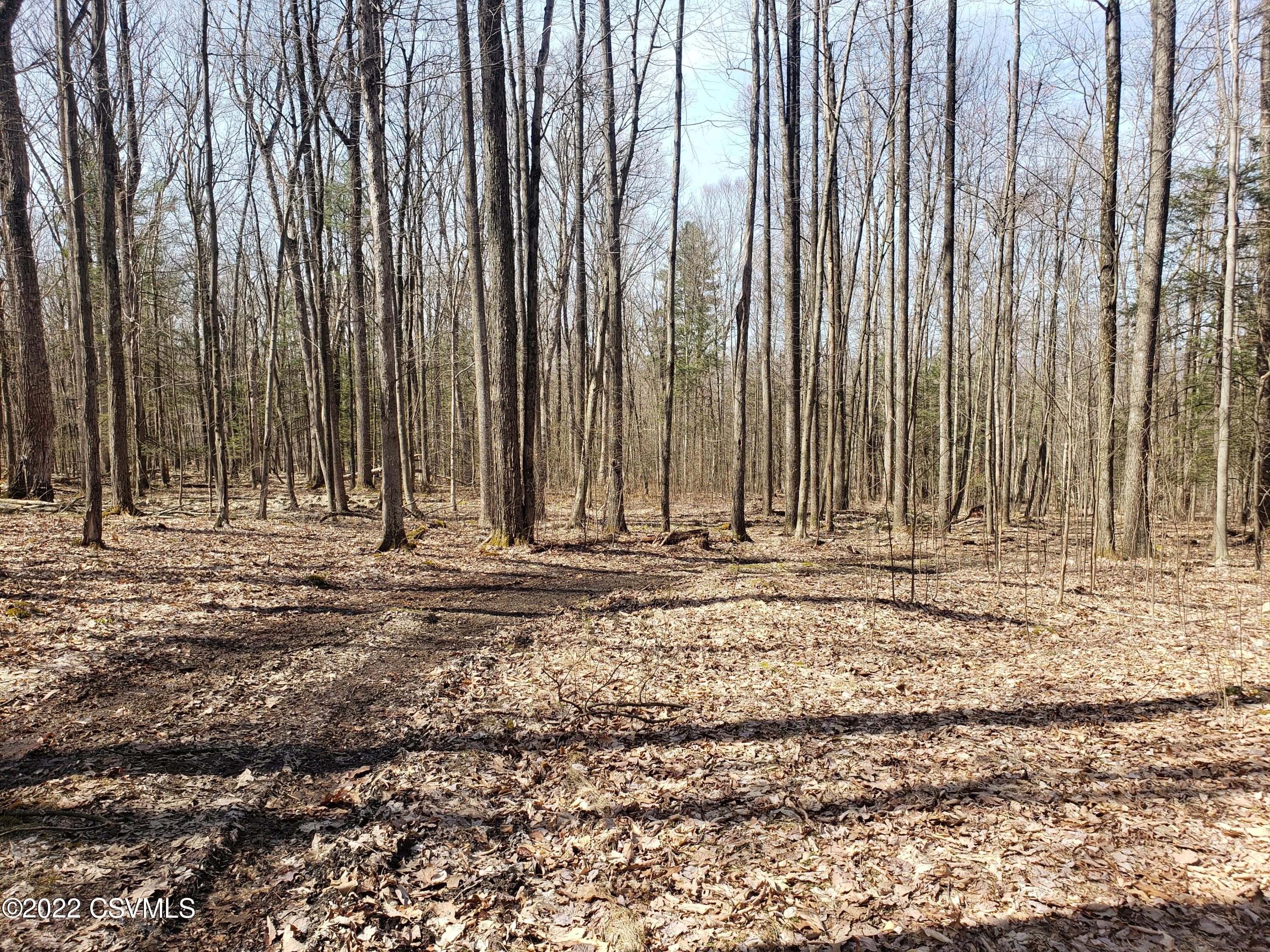 South Creek Road Allenwood, PA 17810 - Photo 4 of 11 Gallery Image 4