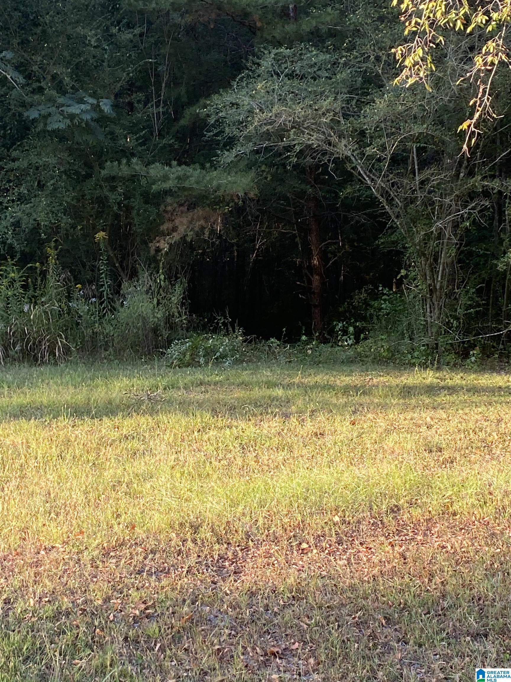 Lincoln Road, Unit 6 0 Cleveland, AL 35049 - Photo 8 of 12