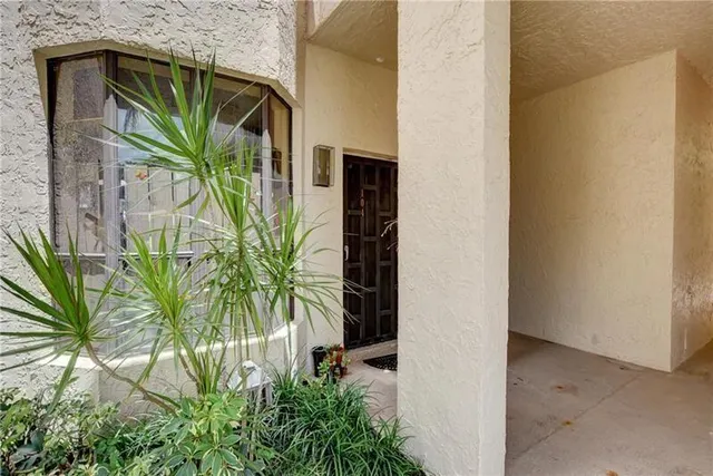 a view of a house with a plant in front of a door