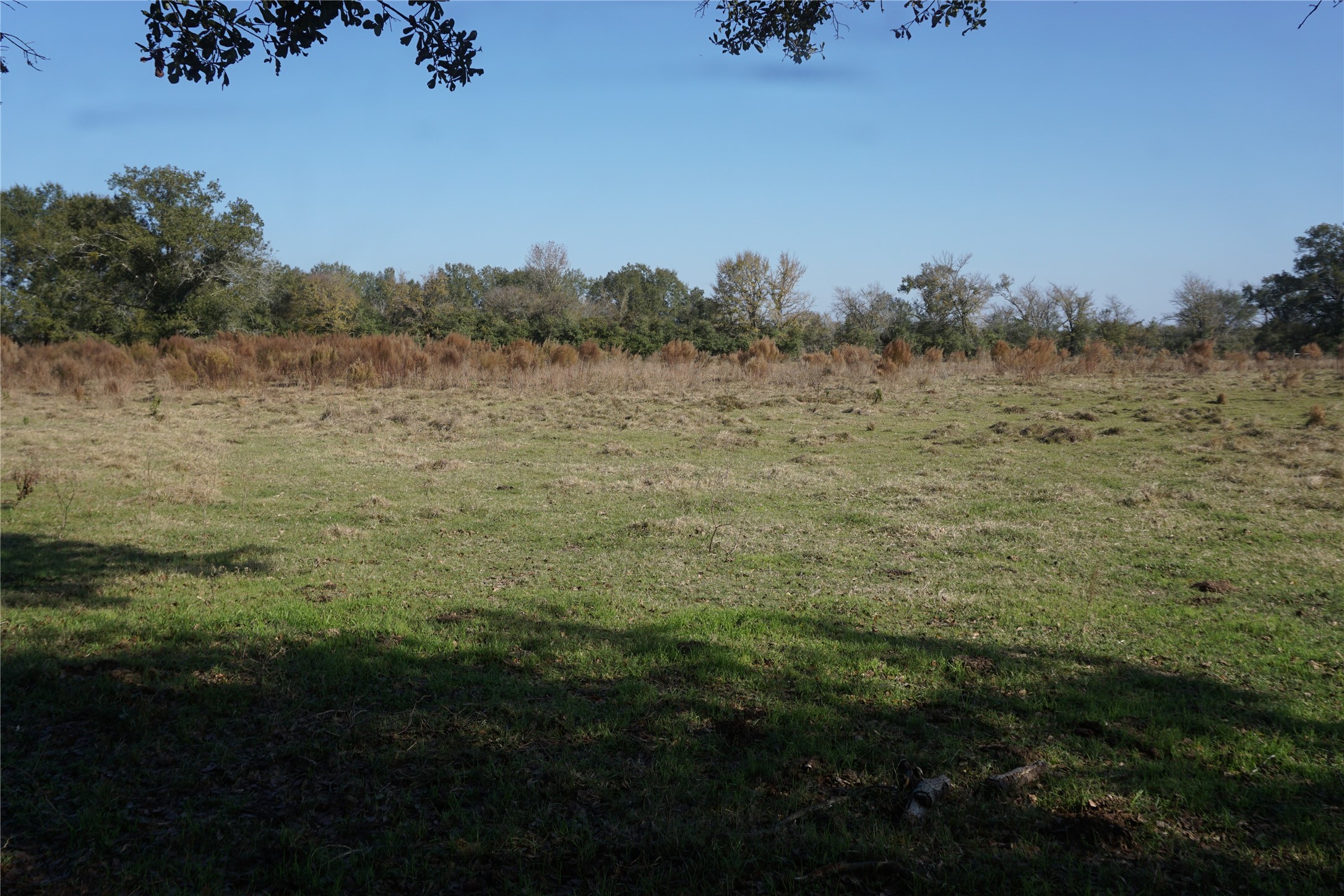 0 Bozeman Ferry Road Midway, TX 75852 - Photo 2 of 7 a view of a lake with houses