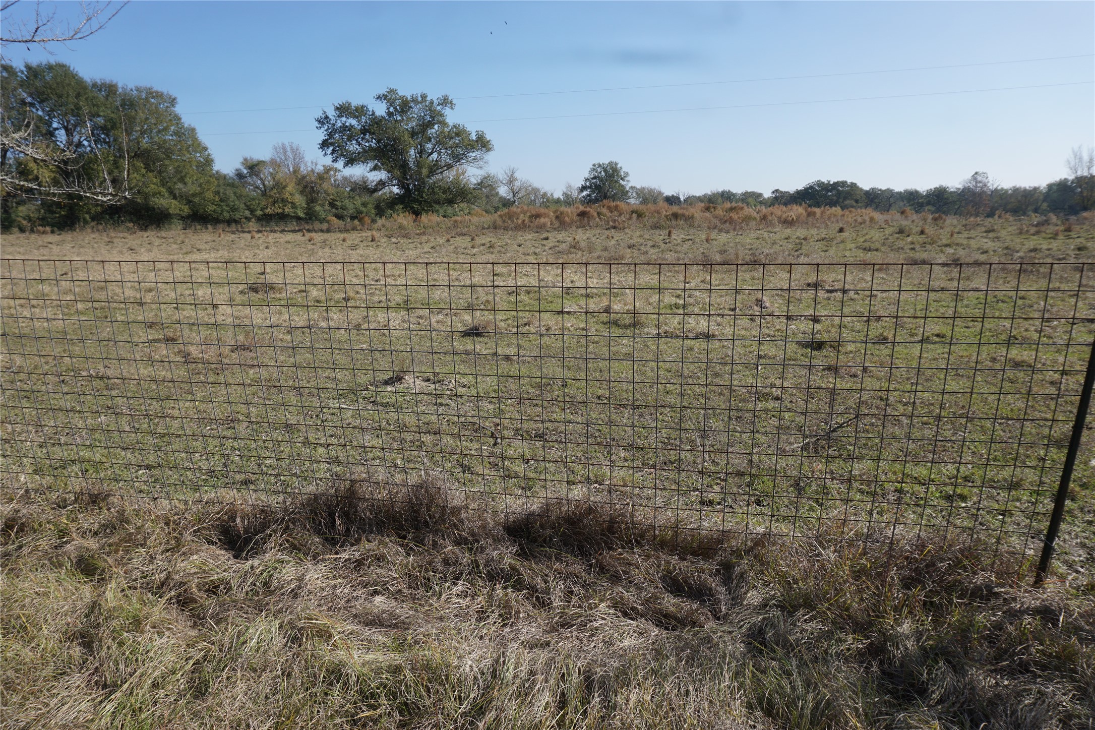 0 Bozeman Ferry Road Midway, TX 75852 - Photo 4 of 7 a view of a lake view