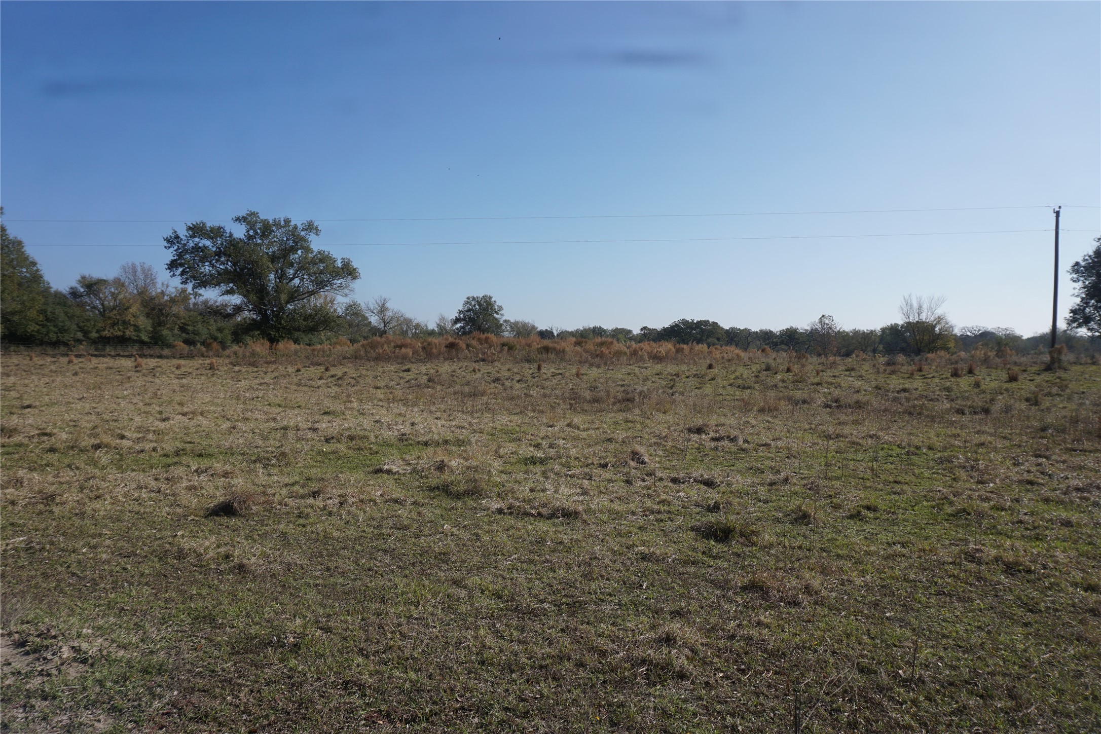 0 Bozeman Ferry Road Midway, TX 75852 - Photo 6 of 7