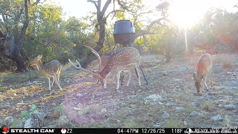1540 Rough Rider Road Junction, TX 76874 - Photo 23 of 35 Gallery Image 23