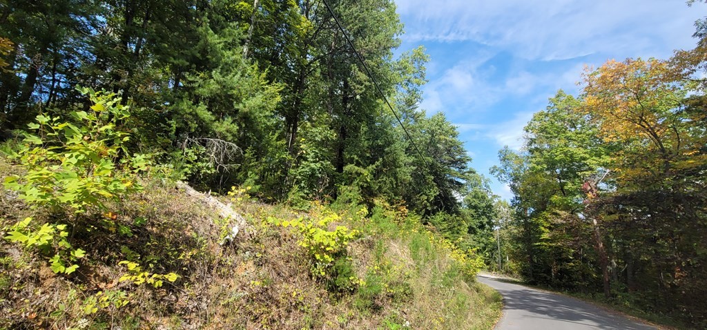 97 Shell Mountain Road Sevierville, TN 37876 - Photo 4 of 14