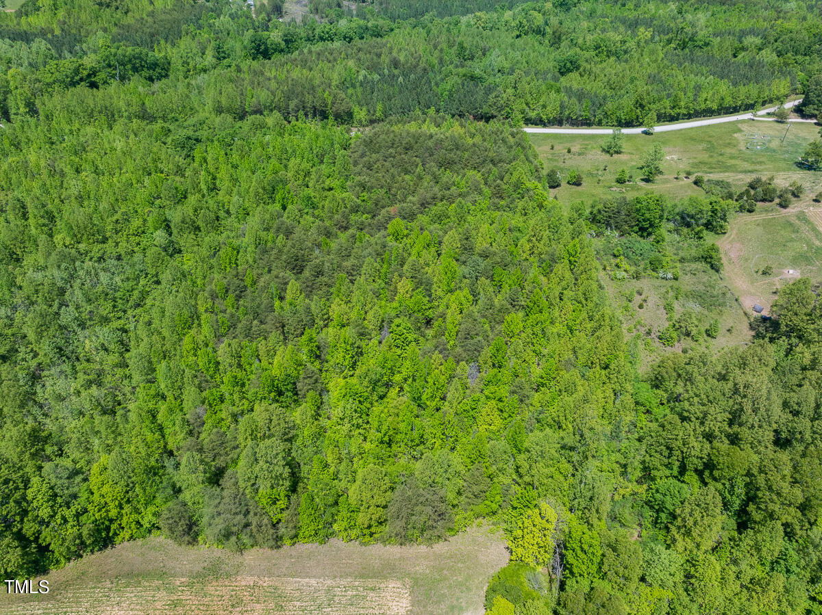 Lot-4-00 Wilson Road Providence, NC 27315 - Photo 18 of 38 Caswell Co. NC -Wilsons Ridge-Lot 4-18
