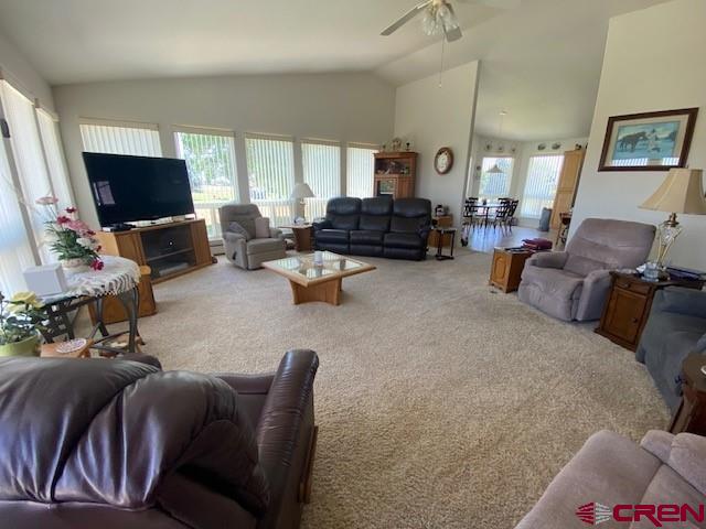 25544 Rd N 6 Loop Cortez, CO 81321 - Photo 10 of 28
