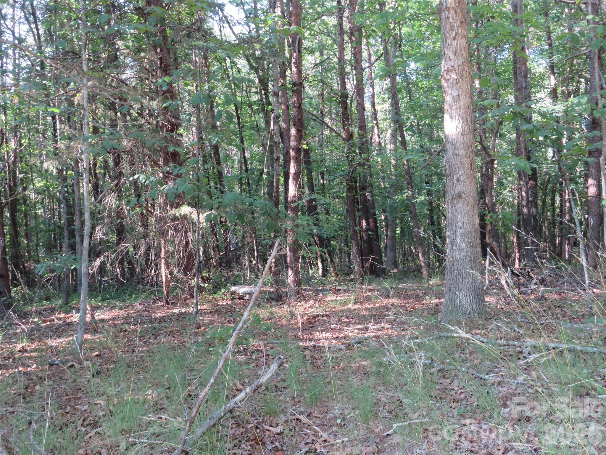 262 Flat Rock Road Forest City, NC 28043 - Photo 21 of 41