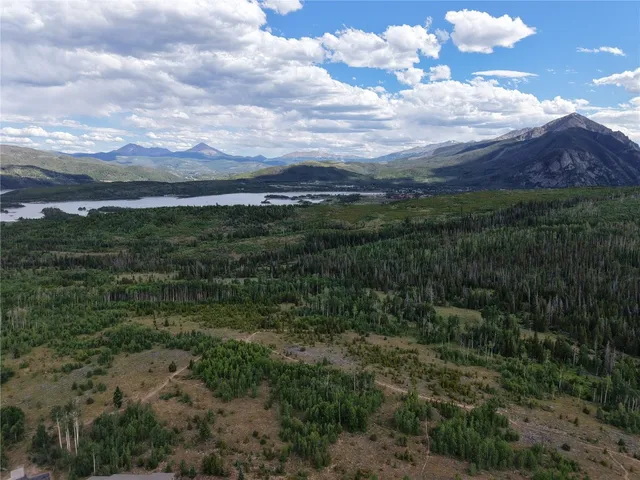a view of a bunch of trees in background