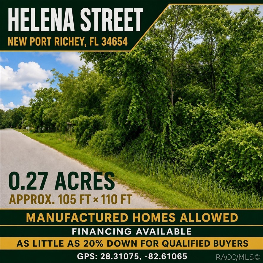 0 Helena Street New Port Richey, FL 34654 - Photo 1 of 17 Gallery Image 1