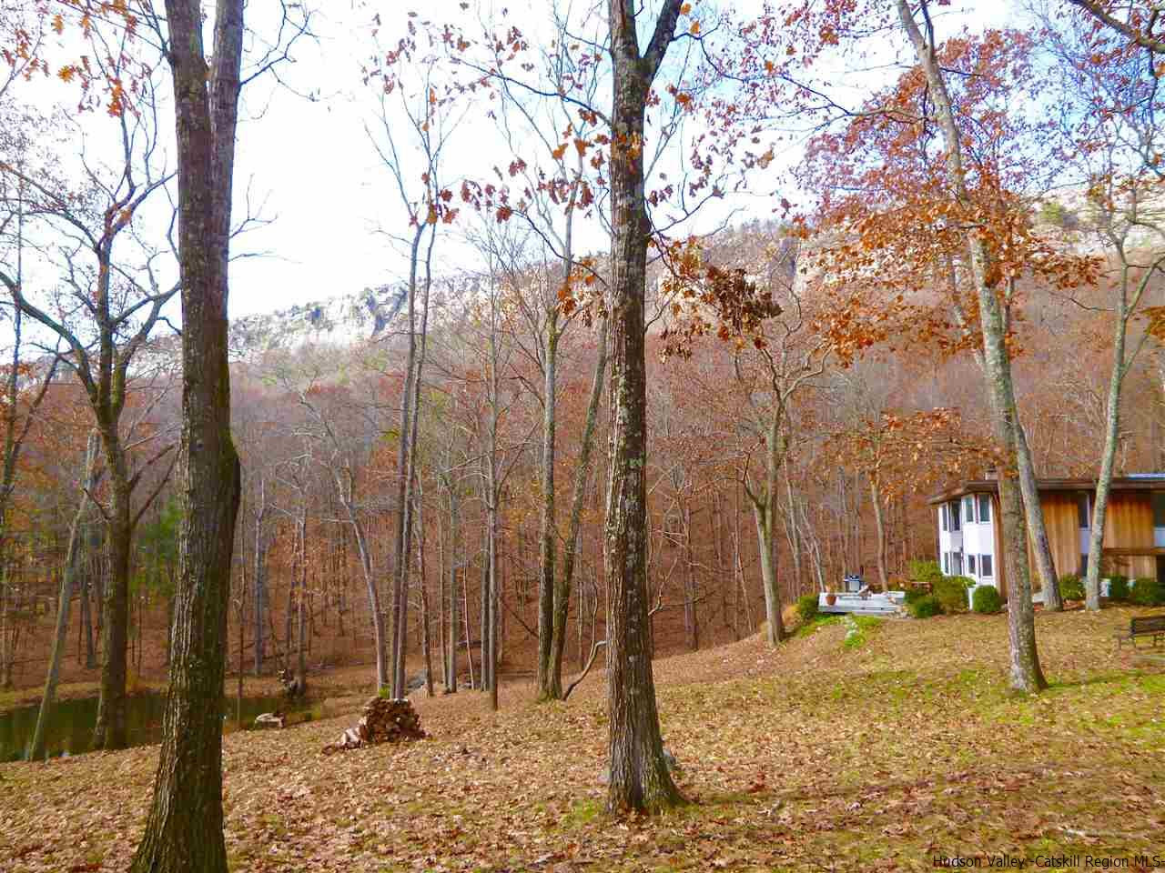 118 Sparkling Ridge Road New Paltz, NY 12561 - Photo 35 of 35 a view of a yard with trees