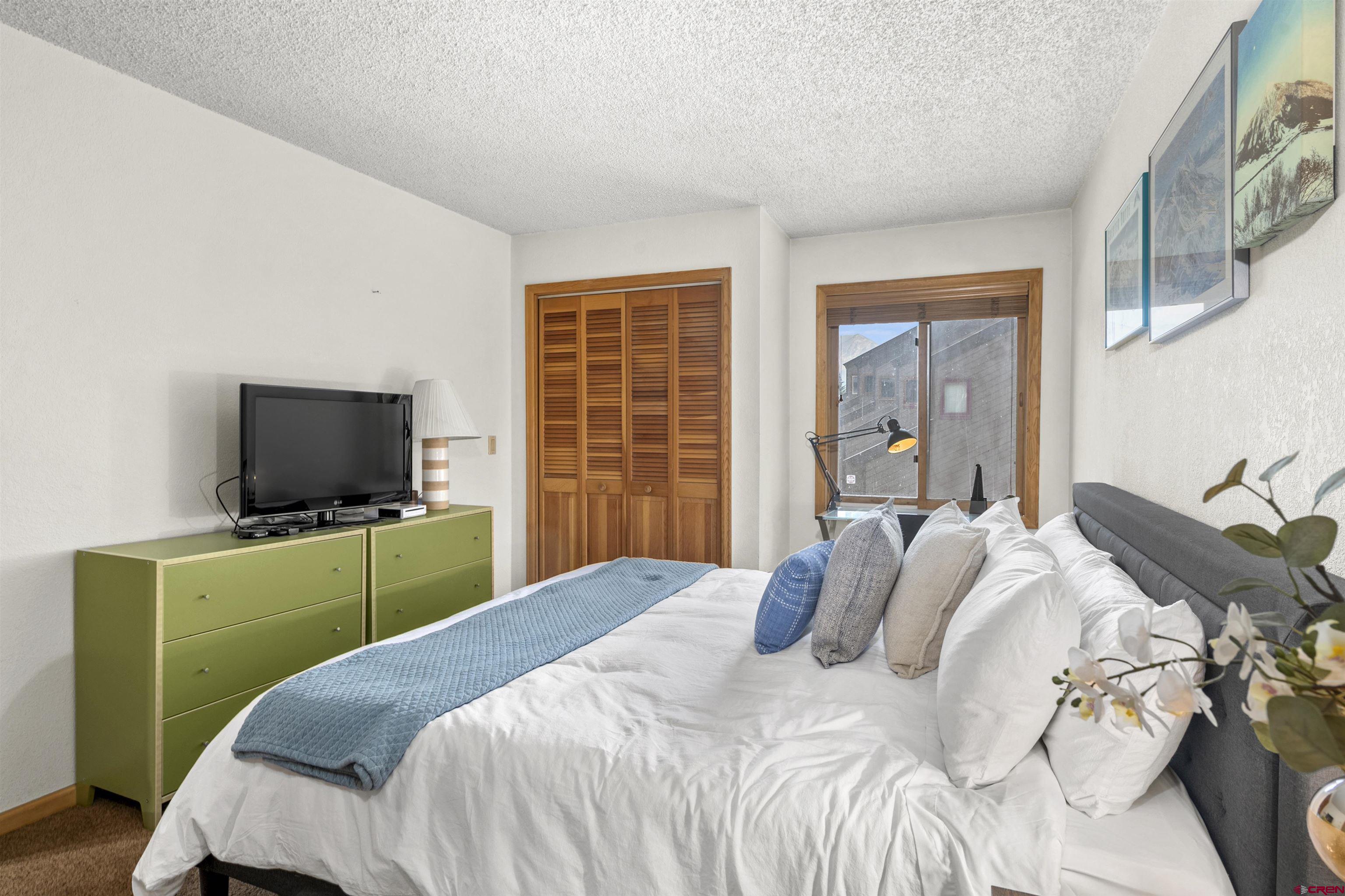 21 Castle Road, Unit 2 Crested Butte, CO 81225 - Photo 20 of 28